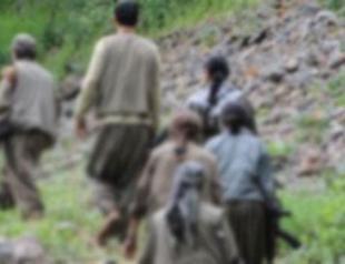 PKK hijacks truck, seizes explosives: Turkish army