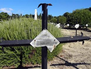 Metal objects stolen from French cemetery at Gallipoli battlefields