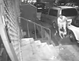 Istanbul court accepts indictment for man who raped dog