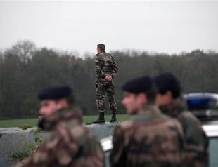 Big cat on prowl near Paris not tiger