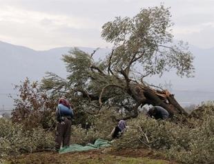 Turkeys top court partly annuls expropriation law, upholds alcohol restrictions