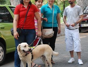 Blind woman not allowed to enter shops with guide dog in Aydın