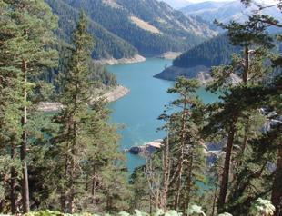 E-invoice saves 100,000 trees and 650 mln liras in Turkey