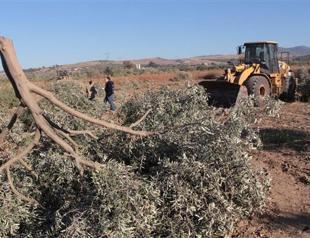Govt assisted land expropriation damages nature, favors companies