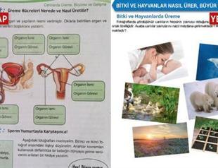 Genitalia wiped out of some Turkish school books