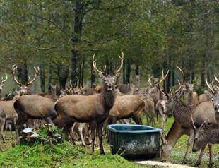 Nature reserves on the rise but funds lacking: UN