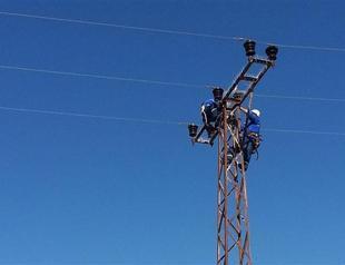 Turkish officials save stork nests on utility poles