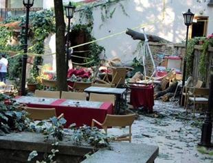 Tree kills two in Istanbul cafe