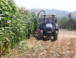 Slower quarterly growth threatens 2014 target as government hints revision