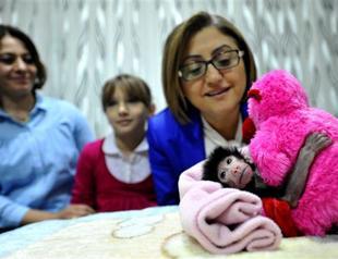 Abandoned baboon named ‘Little Prince’