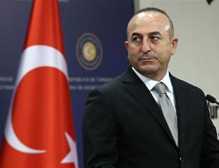 Turkish FM says 600 Turkish nationals joined jihadists, more than 100 killed
