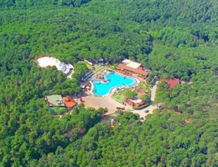 Municipality rejects permit for construction in Istanbul forest