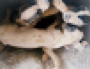 House of slaughtered dogs revive animal cruelty debate in Turkey