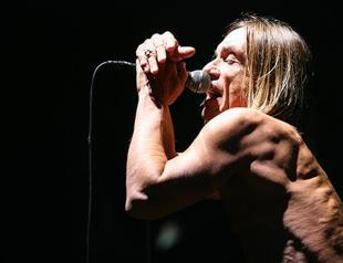 Punk turned lecturer Iggy Pop: Take money out of music