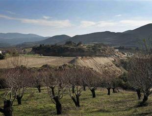 Ancient coins found in Greeces mystery tomb