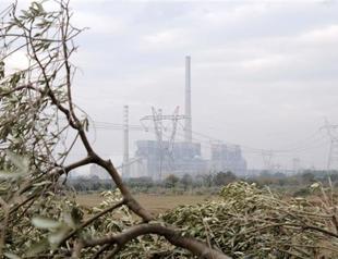 Energy minister claims 9 million trees could be planted with rent from coal plant in Yırca