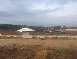 Clear-cut for Istanbul forest park stirs debate