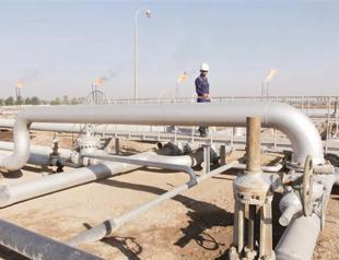 Iraq oil key for Turkey, says energy minister