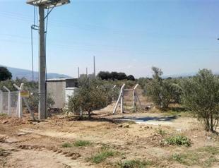 Seized olive groves in Soma surrounded by wire fence to make way for third thermic plant