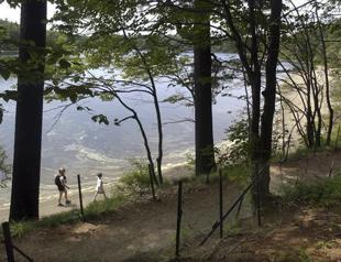Walden Pond where Thoreau lived simply goes solar