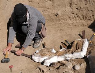 Human skeleton found in ancient city of Misis