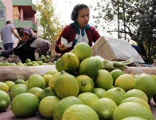 Selling in ruble takes Turkish agro businesses to brink of bankruptcy