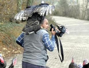 IN PICTURES: Angry turkeys attack journalist