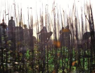 Agricultural Turkey rapidly becoming importer of farm goods