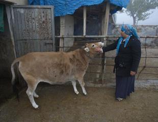 Entrepreneur women supported with insurance