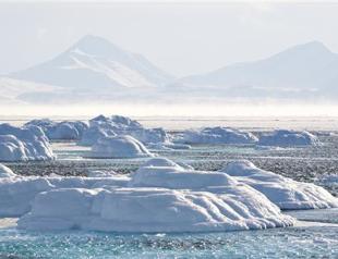 Denmark claims North Pole via Greenland ridge link