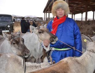 Turkey’s cooperation agency delivers reindeers to Dukha Turks as New Year’s gift