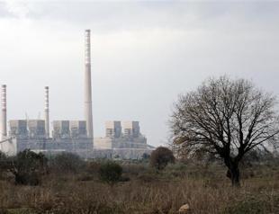 ‘Natural gas’ lobby behind dismissal of coal plant on olive groove, head of firm claims