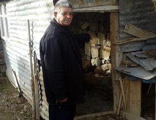 Dog killed, skin chained to owners’ door in gruesome animal murder