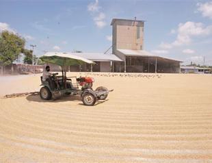 Russia’s grain exports ‘stop’ amid concerns