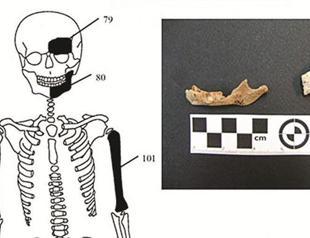 Remains of five people found in Greek tomb