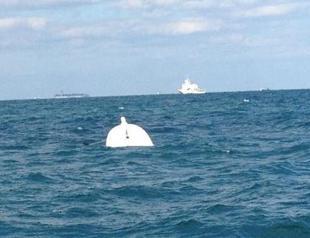 Prosecutor demands life terms in Bosphorus human smuggling case