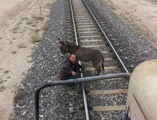 Donkey tied to rails escapes dramatic death by three meters in Turkey