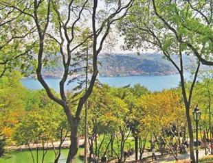 Company denies plans to build shopping complex in area neighboring Istanbul’s Emirgan Grove