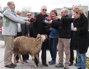 Opposition deputy ‘rams’ Turkish parliament