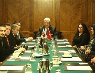 Turkey voices support for Austrian Muslims