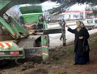 Turkish governor’s mother stands against municipal team removing trees