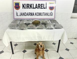 All drug addicted girls in Turkey harassed, CHP’s report reveals