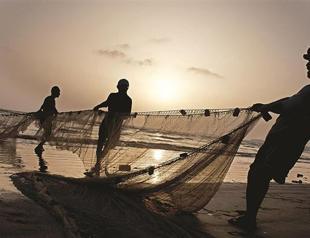 Europe still off mark over environment goals: Report