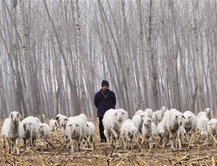 China plans rural land reform trial
