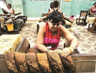 Cuba tourism rises 16 percent: government