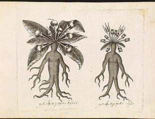 Exploring Byzantine era medical methods