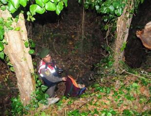 Turkish man dies after tree he cut falls on him in Black Sea province