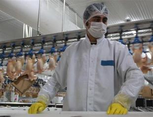 Turkey’s poultry sector faces risk of losing biggest export market