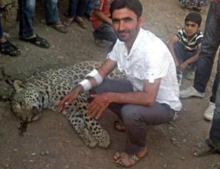 Greenpeace member judge acquits leopard killers in Turkey