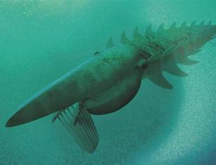 Gigantic ancient arthropod was really a very peaceful guy